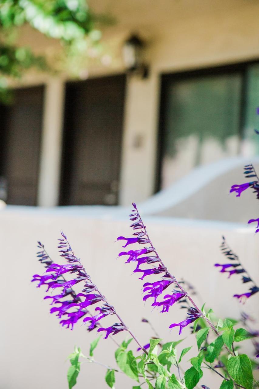 Casa Ojai Inn Luaran gambar